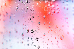 Water Droplets On Window Wallpaper