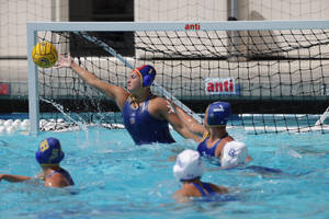 Water Polo Goalkeeper Wallpaper