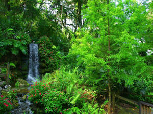 Waterfall Surrounded By Greenery Wallpaper