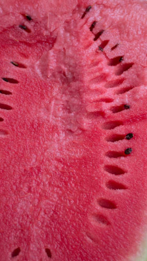 Watermelon Seeds Macro Shot Wallpaper