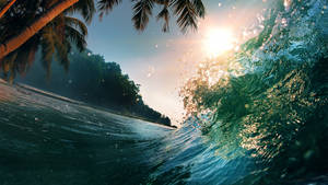 Wave On Island With Coconut Wallpaper