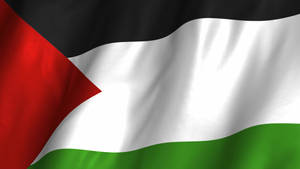 Wavy Palestine Flag Wallpaper