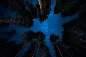 We Are One With The Galaxy Wallpaper