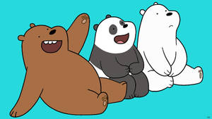 We Bare Bears Cartoon Network Characters Wallpaper