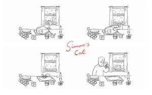 Web Cartoon Simon's Cat Turkey Comic Wallpaper