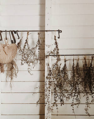 Wedding Aesthetic Dried Flowers Wallpaper