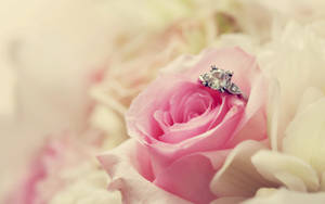 Wedding Aesthetic Ring In Rose Wallpaper