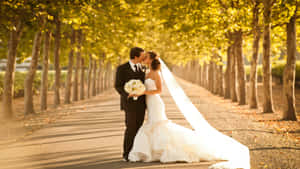 Wedding Couple Middle Of Road Wallpaper