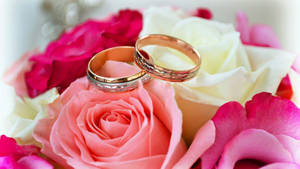 Wedding Rings Love Full Hd Wallpaper