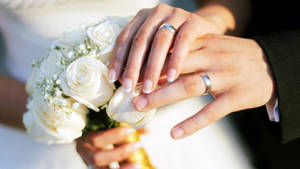 Wedding Rings Newly-wed Wallpaper