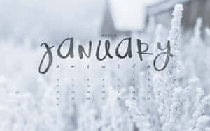 Welcome In The New Year With Hello January! Wallpaper
