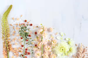 Welcome Spring With This Stunning Aesthetic Desktop Wallpaper Wallpaper