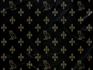 Welcome To Ovoxo, The Ultimate Music Destination Wallpaper
