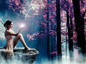 Welcome To The Enchanting Fairy Forest! Wallpaper