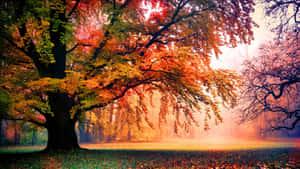Welcoming The Uniqueness Of Nature Wallpaper