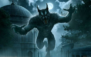 Werewolf Attacking At Night Wallpaper