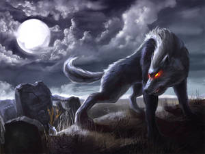 Werewolf In Cemetery Wallpaper
