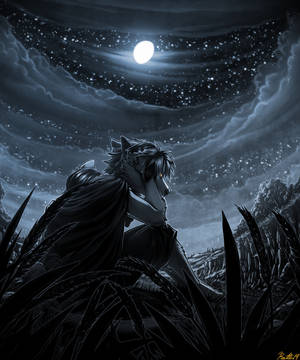 Werewolf Under Full Moon Wallpaper