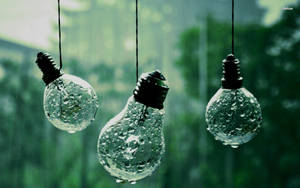 Wet Light Bulbs Photography Wallpaper