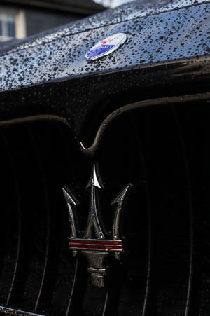 Wet Maserati Car Hood Wallpaper