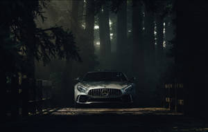 White Amg In The Tree Shadows Wallpaper