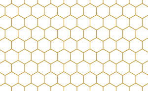 White And Gold Honeycomb Wallpaper