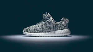 White And Grey Yeezey Snekaer In The Dark Wallpaper