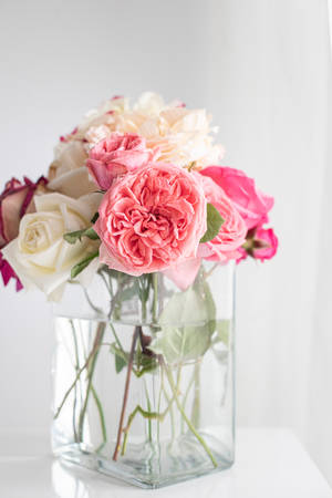 White And Pink Aesthetic Flowers Wallpaper