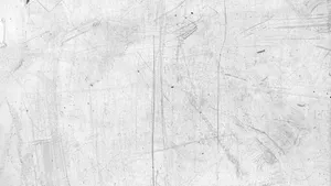 White Background Wallpaper Wallpaper