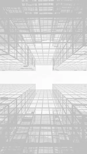 White Background Wallpaper Wallpaper