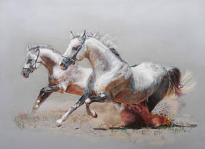 White Beautiful Horses In A Painting Wallpaper