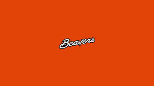 White Beavers Oregon State University Orange Wallpaper