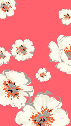 White Blossom Displayed On Cute Girly Phone Wallpaper