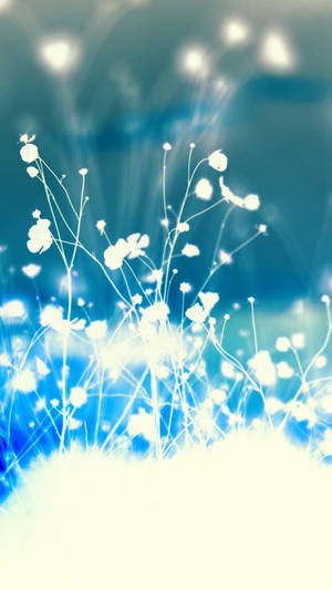 White Blue Flower Iphone Wallpaper