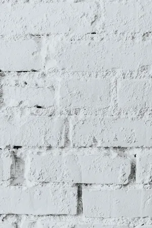 White Brick Wall Wallpaper