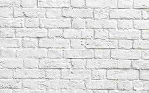 White Brick Wall Presentation Wallpaper