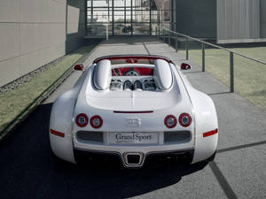 White Bugatti Veyron Back Iphone Wallpaper