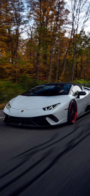 White Car In Woods Lamborghini Phone Wallpaper