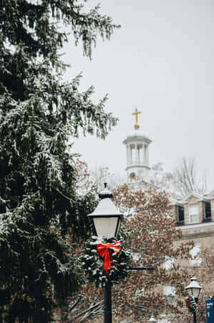 White Christmas Park Iphone Wallpaper