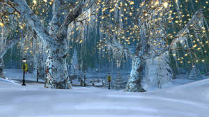 White Christmas With Pretty Lights Wallpaper