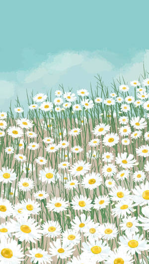 White Daisy Aesthetic Cute Art Wallpaper