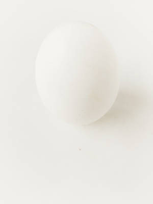 White Egg Wallpaper