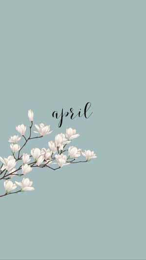 White Flowers Drawing Floral Aesthetic Iphone Wallpaper