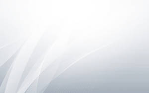 White Hd Abstract Curves Wallpaper