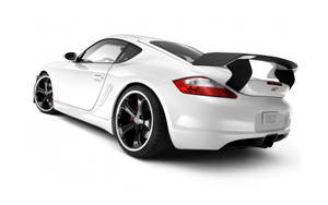 White Hd Porsche Cayman Rear Wallpaper