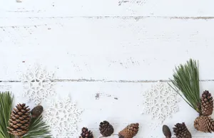 White Hd Winter Background Wallpaper