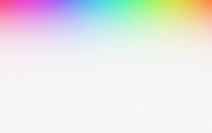 White Hd With Colorful Gradient Wallpaper