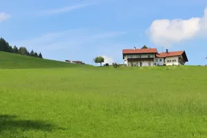 White House On Meadow Wallpaper