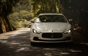White Maserati Ghibli Forest Wallpaper