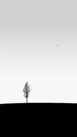 White Minimalist Tree Iphone Wallpaper